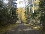 Trail-1